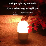 LED Light For Camping By Livierro